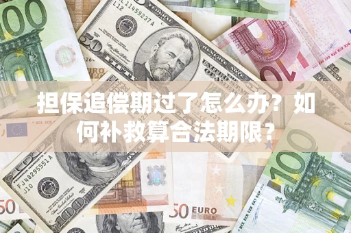 济南担保追偿期过了怎么办？如何补救算合法期限？