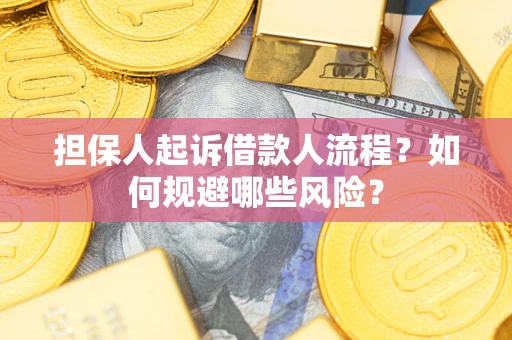 济南担保人起诉借款人流程？如何规避哪些风险？