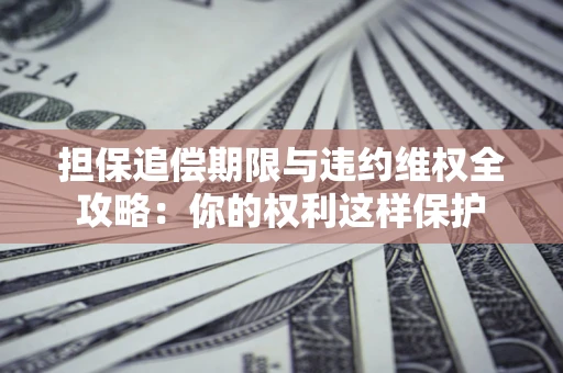 济南担保追偿期限与违约维权全攻略：你的权利这样保护